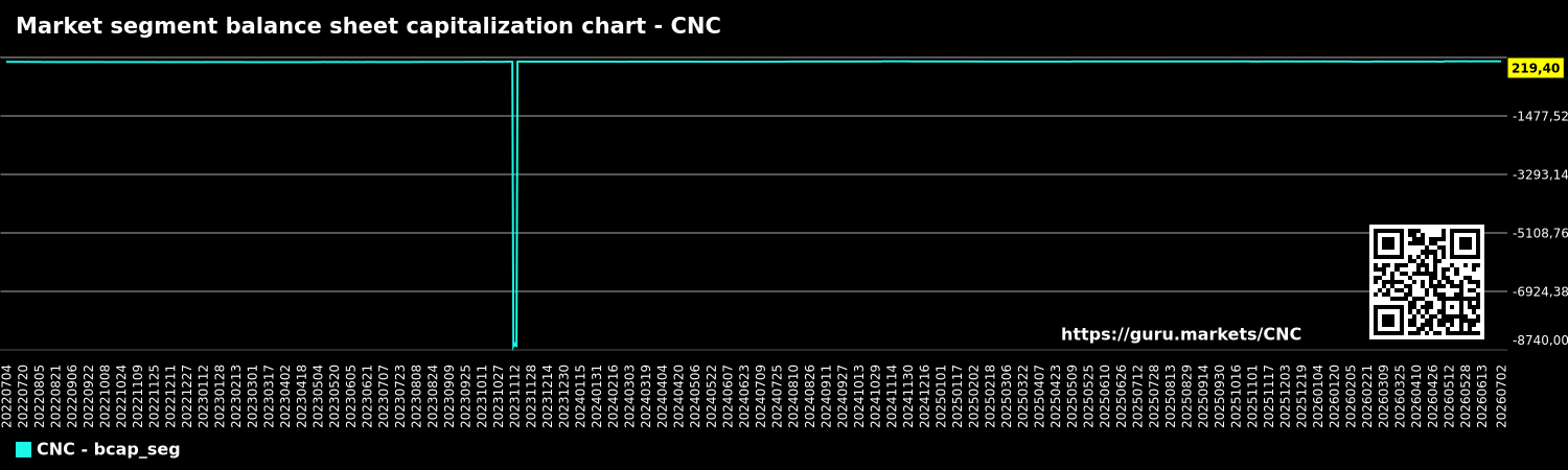 Market segment balance sheet capitalization chart - CNC